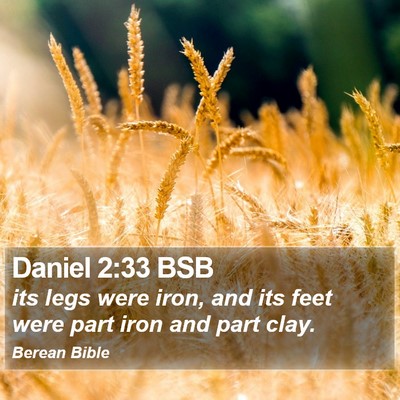 Daniel 2:33 BSB Bible Verse Image