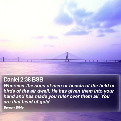 Daniel 2:38 BSB Bible Verse Image