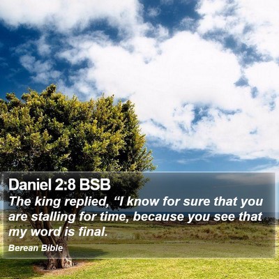 Daniel 2:8 BSB Bible Verse Image