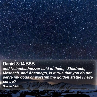 Daniel 3:14 BSB Bible Verse Image