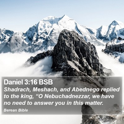 Daniel 3:16 BSB Bible Verse Image
