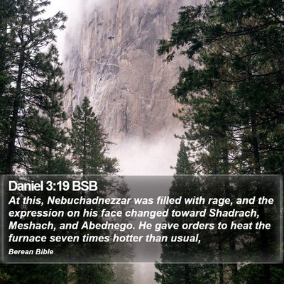 Daniel 3:19 BSB Bible Verse Image