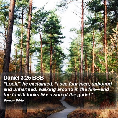 Daniel 3:25 BSB Bible Verse Image