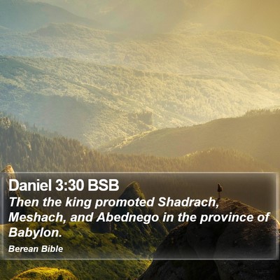 Daniel 3:30 BSB Bible Verse Image