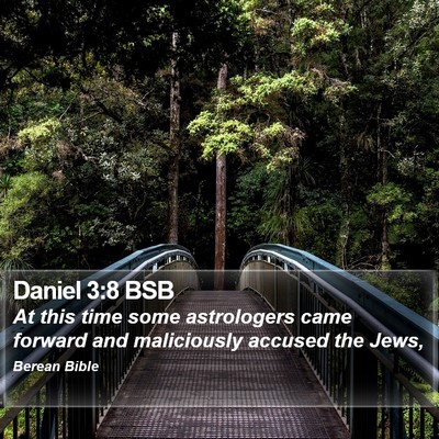 Daniel 3:8 BSB Bible Verse Image