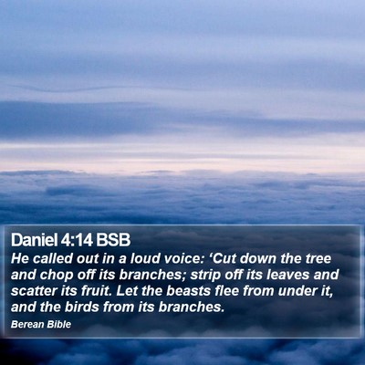 Daniel 4:14 BSB Bible Verse Image