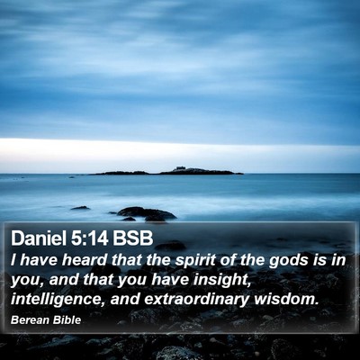 Daniel 5:14 BSB Bible Verse Image