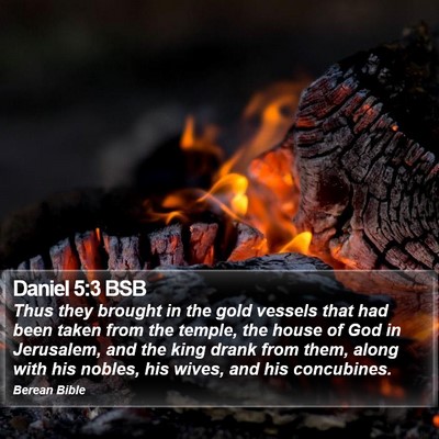 Daniel 5:3 BSB Bible Verse Image