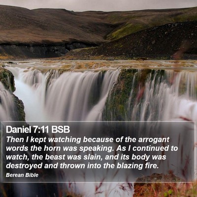 Daniel 7:11 BSB Bible Verse Image