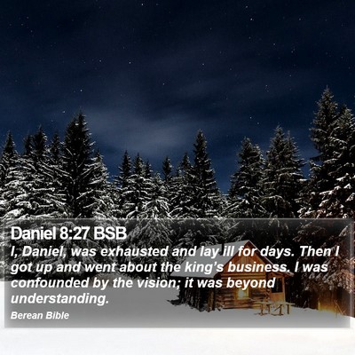 Daniel 8:27 BSB Bible Verse Image