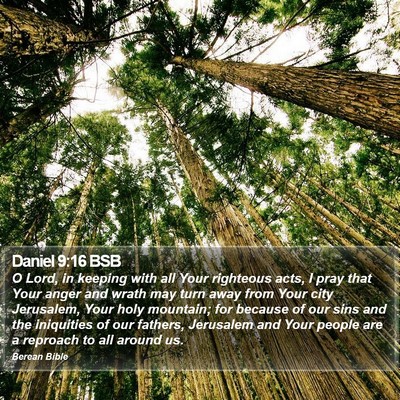 Daniel 9:16 BSB Bible Verse Image