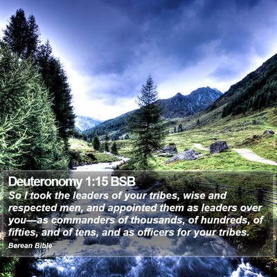 Deuteronomy 1:15 BSB Bible Verse Image