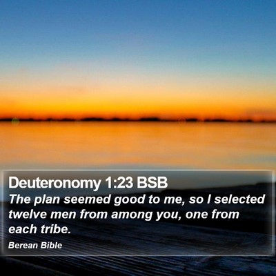 Deuteronomy 1:23 BSB Bible Verse Image