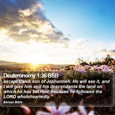 Deuteronomy 1:36 BSB Bible Verse Image