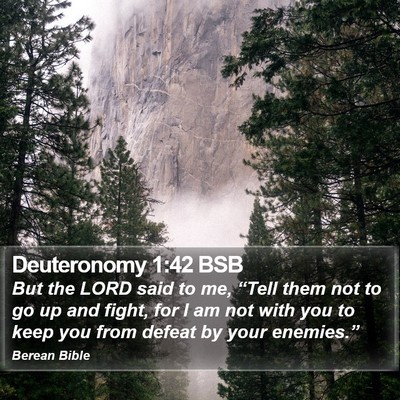 Deuteronomy 1:42 BSB Bible Verse Image