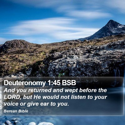Deuteronomy 1:45 BSB Bible Verse Image