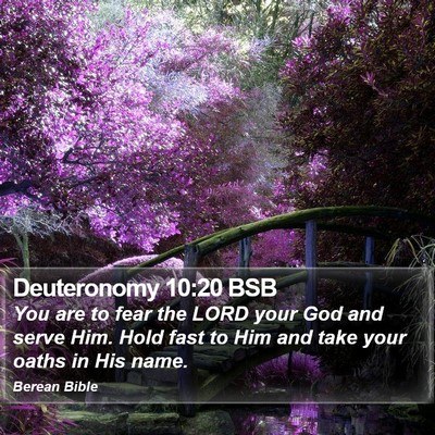 Deuteronomy 10:20 BSB Bible Verse Image