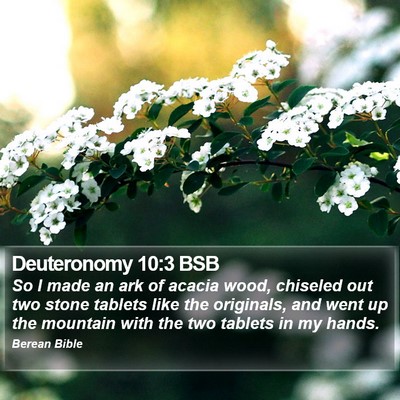 Deuteronomy 10:3 BSB Bible Verse Image