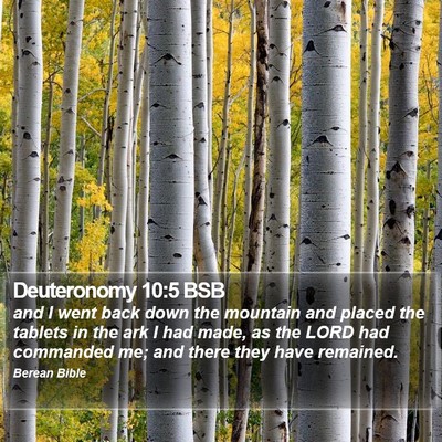 Deuteronomy 10:5 BSB Bible Verse Image