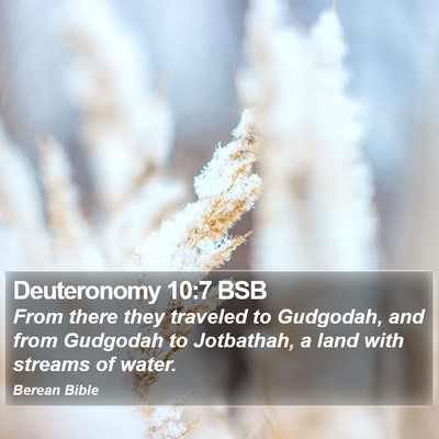 Deuteronomy 10:7 BSB Bible Verse Image