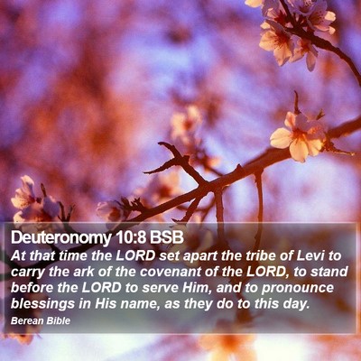 Deuteronomy 10:8 BSB Bible Verse Image
