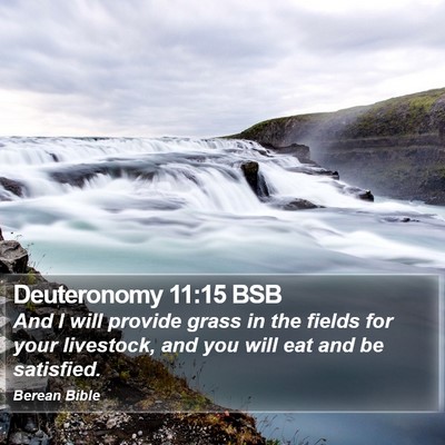 Deuteronomy 11:15 BSB Bible Verse Image