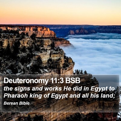 Deuteronomy 11:3 BSB Bible Verse Image