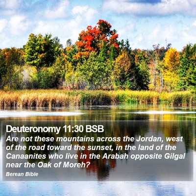 Deuteronomy 11:30 BSB Bible Verse Image