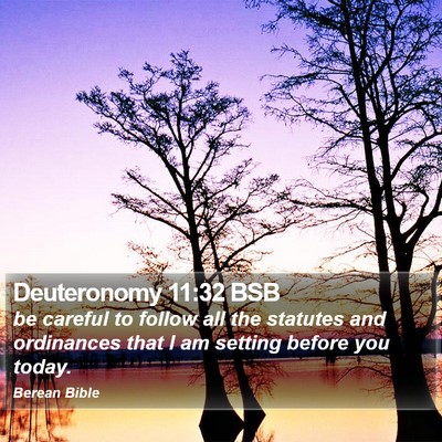 Deuteronomy 11:32 BSB Bible Verse Image