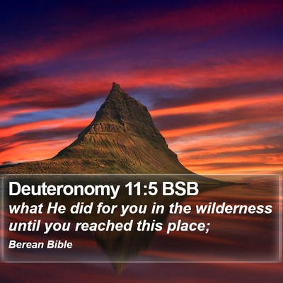 Deuteronomy 11:5 BSB Bible Verse Image
