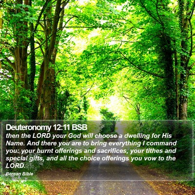 Deuteronomy 12:11 BSB Bible Verse Image
