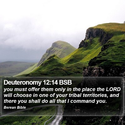 Deuteronomy 12:14 BSB Bible Verse Image