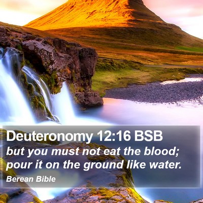 Deuteronomy 12:16 BSB Bible Verse Image
