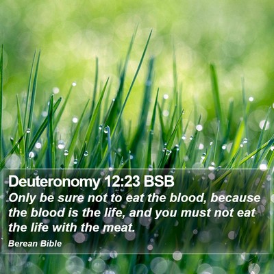 Deuteronomy 12:23 BSB Bible Verse Image