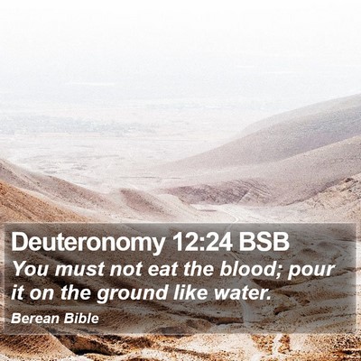 Deuteronomy 12:24 BSB Bible Verse Image