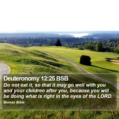 Deuteronomy 12:25 BSB Bible Verse Image