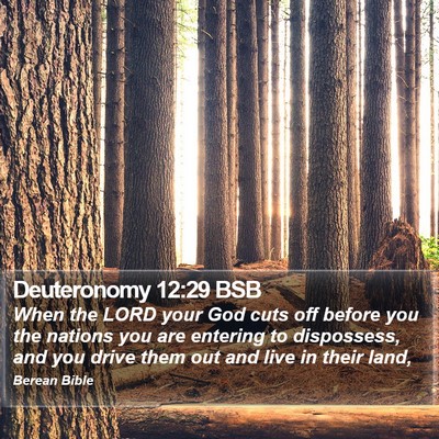 Deuteronomy 12:29 BSB Bible Verse Image