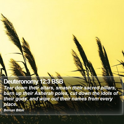 Deuteronomy 12:3 BSB Bible Verse Image