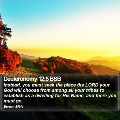 Deuteronomy 12:5 BSB Bible Verse Image
