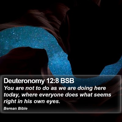Deuteronomy 12:8 BSB Bible Verse Image