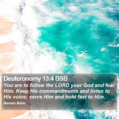Deuteronomy 13:4 BSB Bible Verse Image
