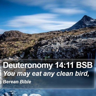 Deuteronomy 14:11 BSB Bible Verse Image