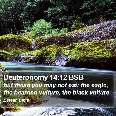 Deuteronomy 14:12 BSB Bible Verse Image