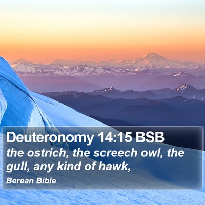 Deuteronomy 14:15 BSB Bible Verse Image