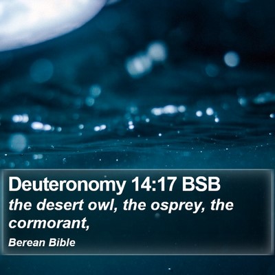 Deuteronomy 14:17 BSB Bible Verse Image