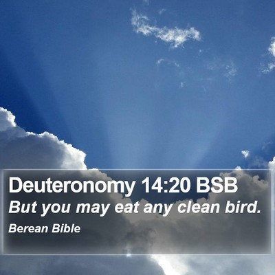 Deuteronomy 14:20 BSB Bible Verse Image
