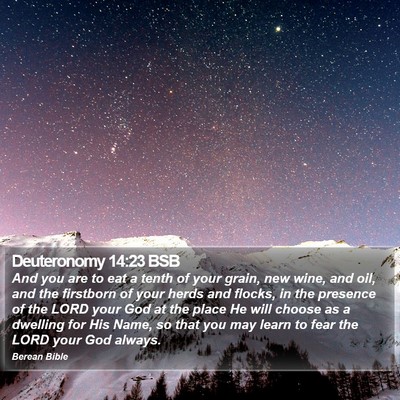 Deuteronomy 14:23 BSB Bible Verse Image