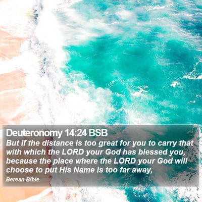 Deuteronomy 14:24 BSB Bible Verse Image