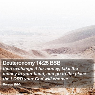 Deuteronomy 14:25 BSB Bible Verse Image