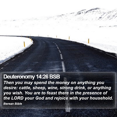 Deuteronomy 14:26 BSB Bible Verse Image